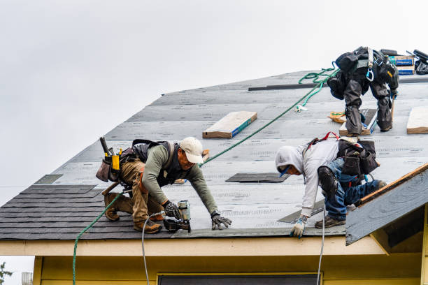 Professional Gutter Installation technician working in Linwood, NE